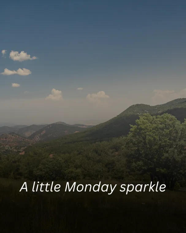 A little Monday sparkle.