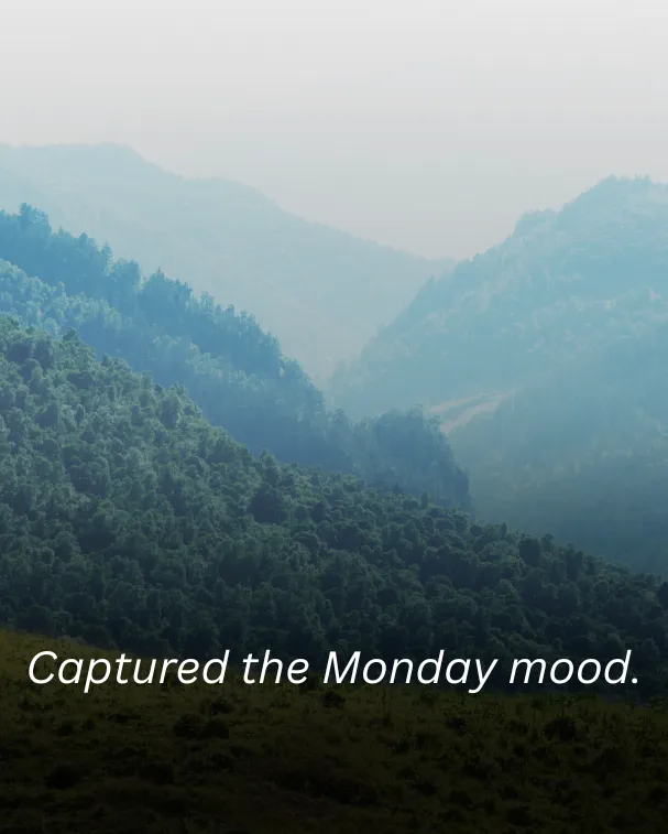 Captured the Monday mood.