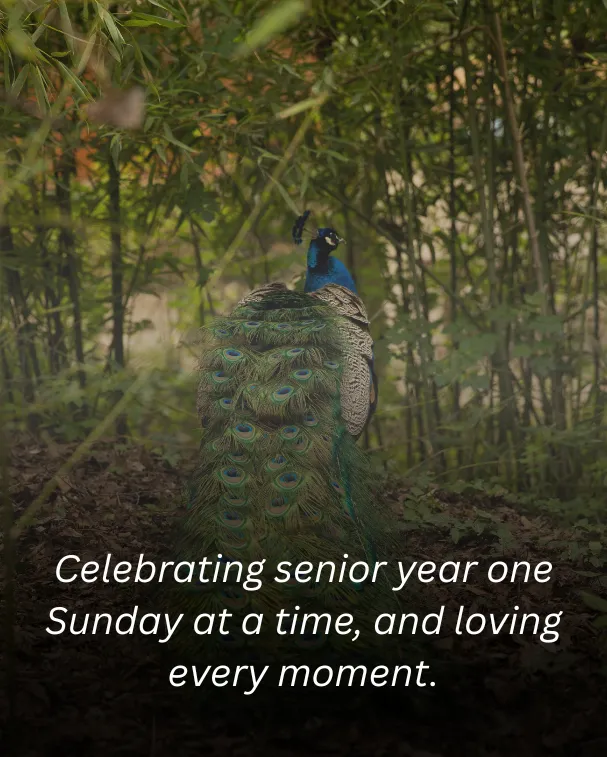 Celebrating senior year one Sunday at a time, and loving every moment.