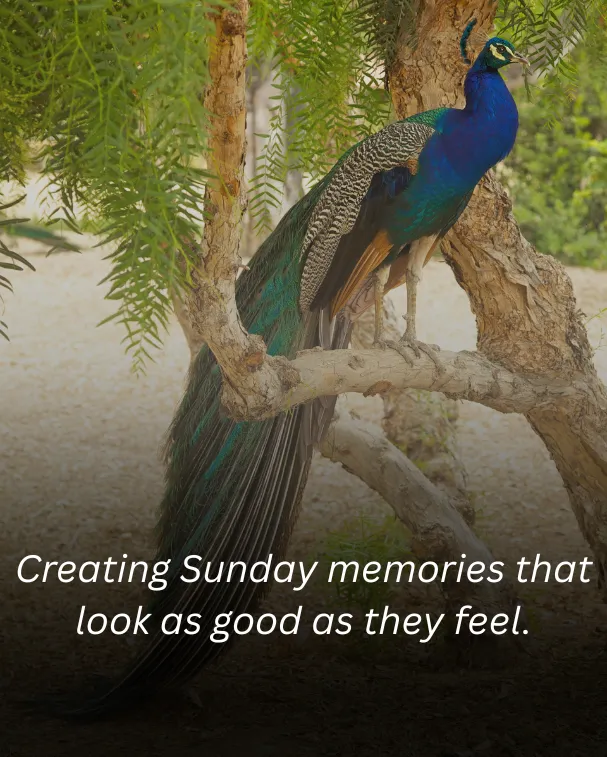 Creating Sunday memories that look as good as they feel.