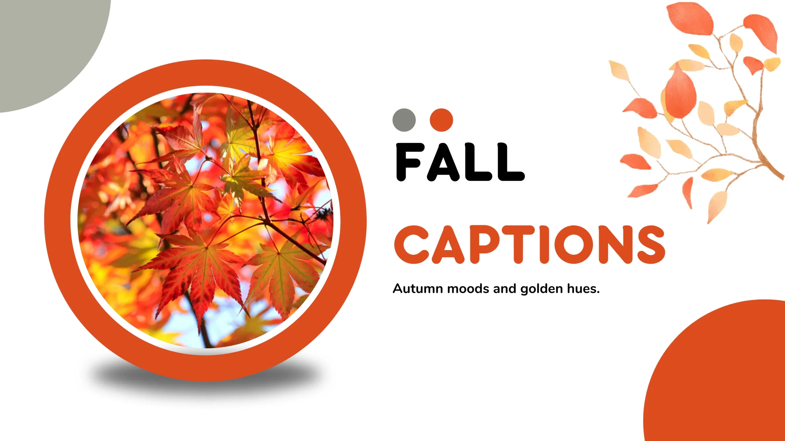 Fall Captions to Celebrate the Season