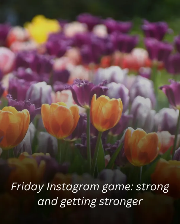 Friday Instagram game: strong and getting stronger