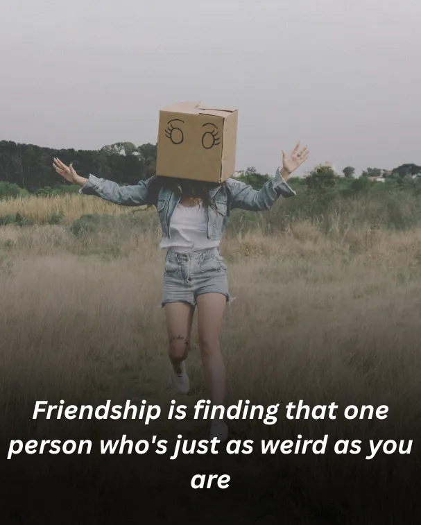 Friendship is finding that one person who's just as weird as you are