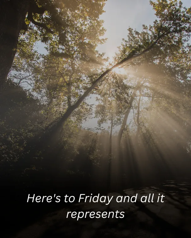 Here's to Friday and all it represents