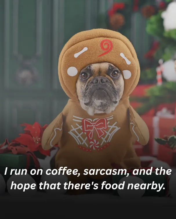 I run on coffee, sarcasm, and the hope that there's food nearby.
