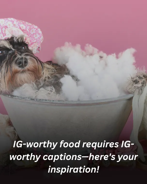 IG-worthy food requires IG-worthy captions—here's your inspiration!