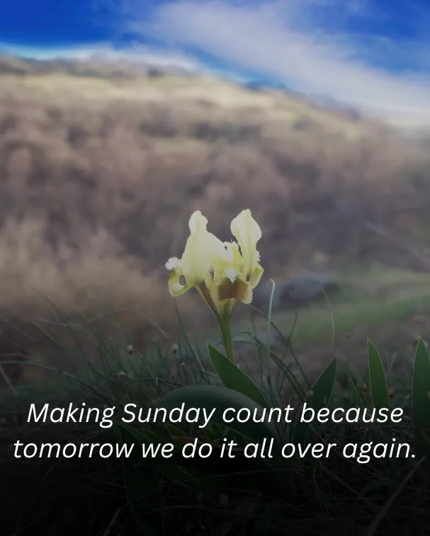 Making Sunday count because tomorrow we do it all over again.