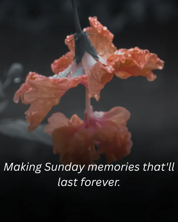 Making Sunday memories that'll last forever.