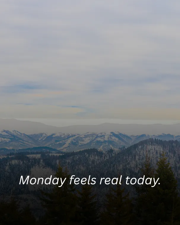 Monday feels real today.