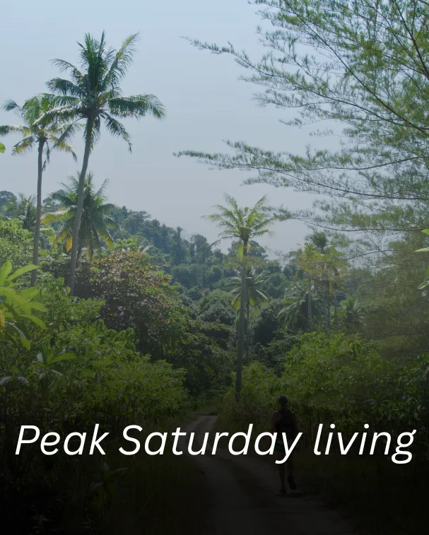 Peak Saturday living
