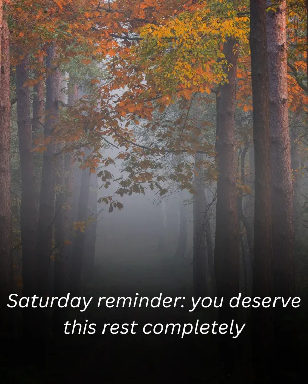 Saturday reminder: you deserve this rest completely