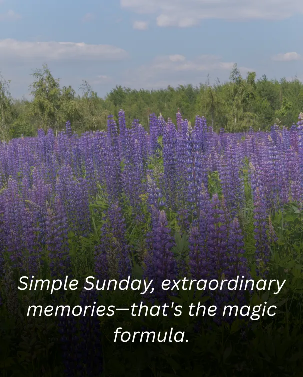 Simple Sunday, extraordinary memories—that's the magic formula.