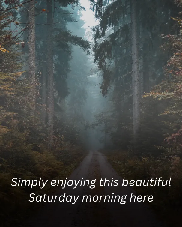 Simply enjoying this beautiful Saturday morning here