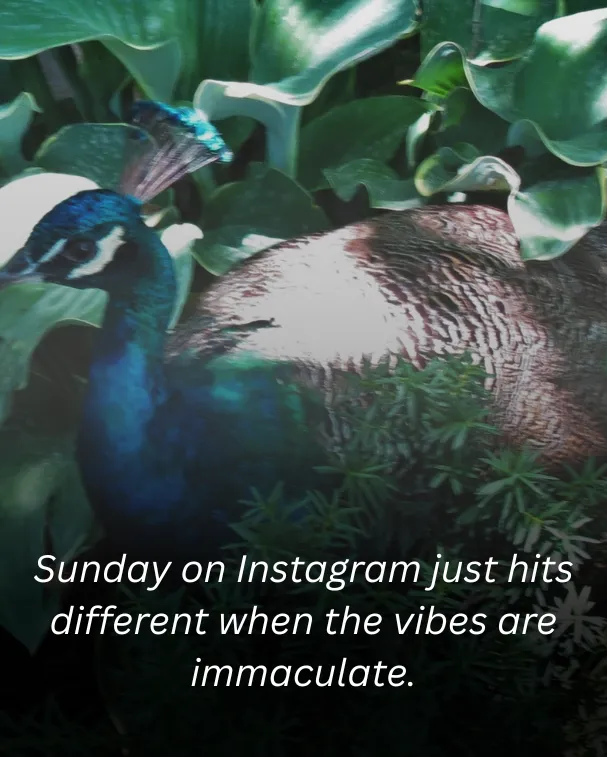 Sunday on Instagram just hits different when the vibes are immaculate.