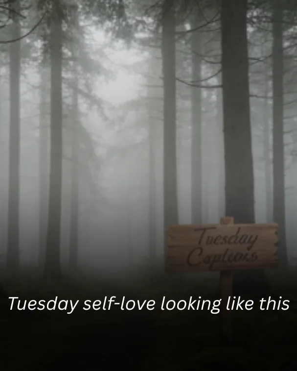 Tuesday self-love looking like this
