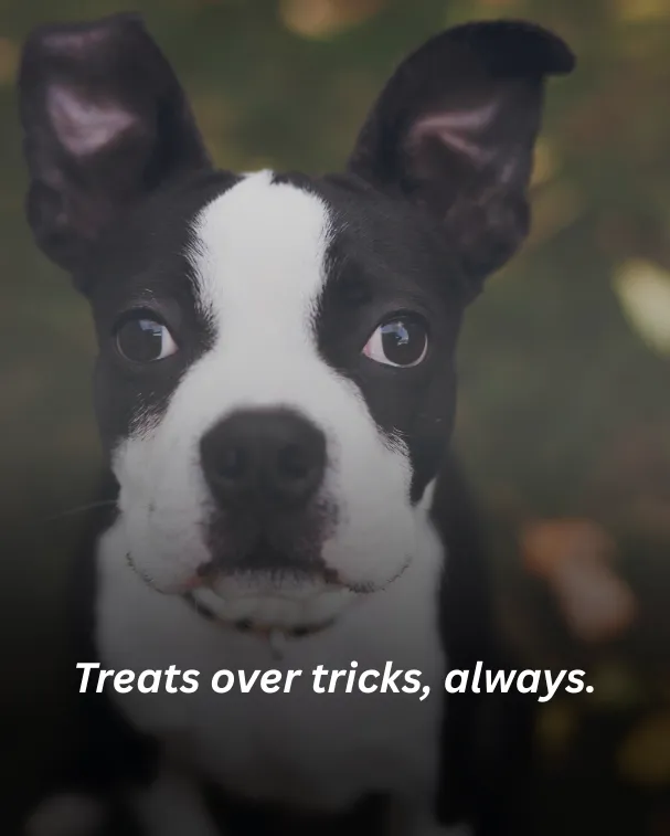 Treats over tricks, always.