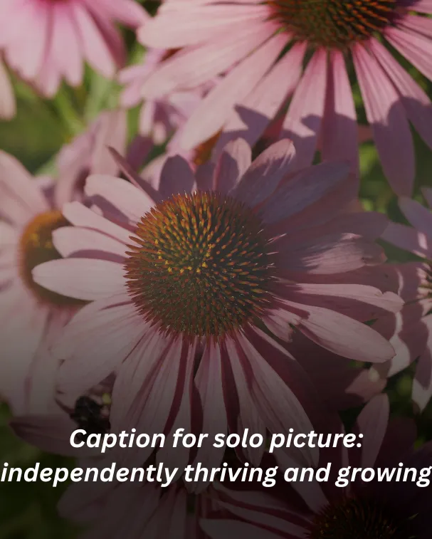 Caption for solo picture: independently thriving and growing