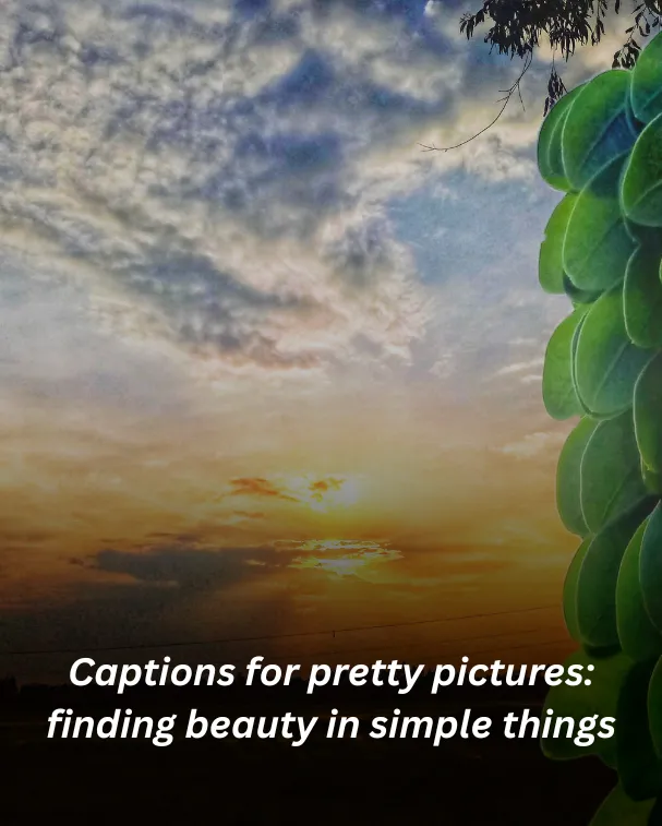 Captions for pretty pictures: finding beauty in simple things