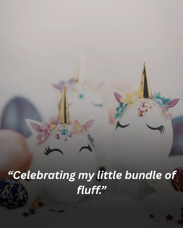 Celebrating my little bundle of fluff.