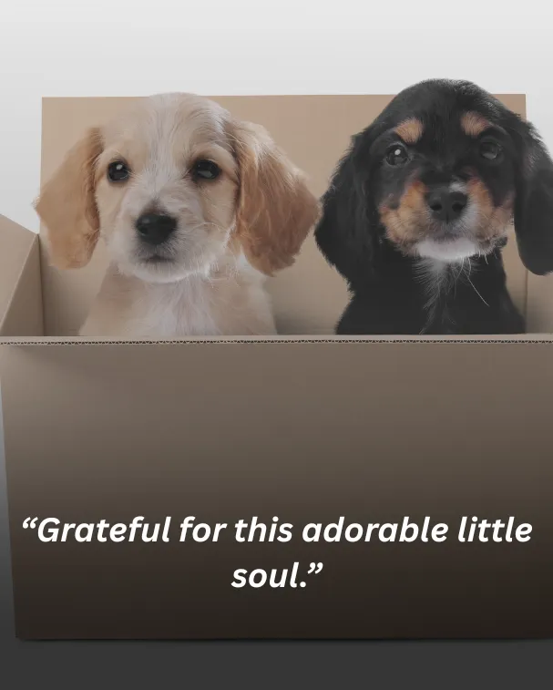 Grateful for this adorable little soul.