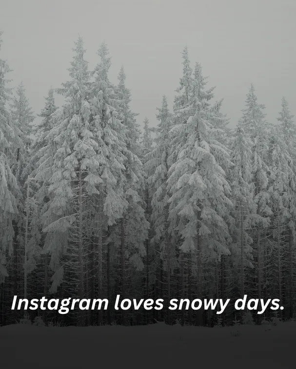 Instagram loves snowy days.