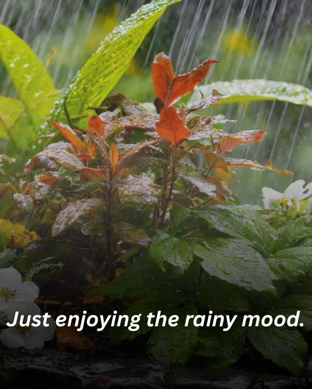 Just enjoying the rainy mood.