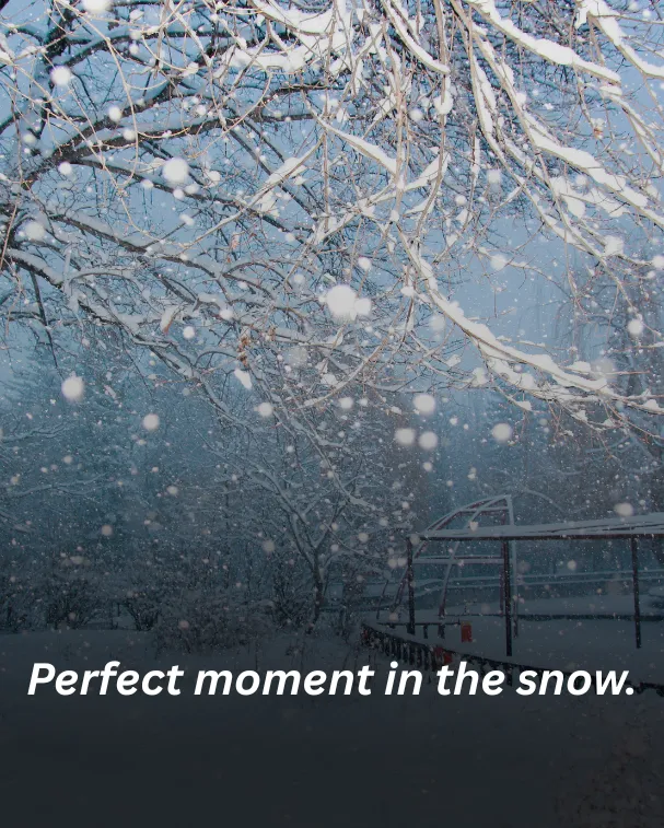 Perfect moment in the snow.