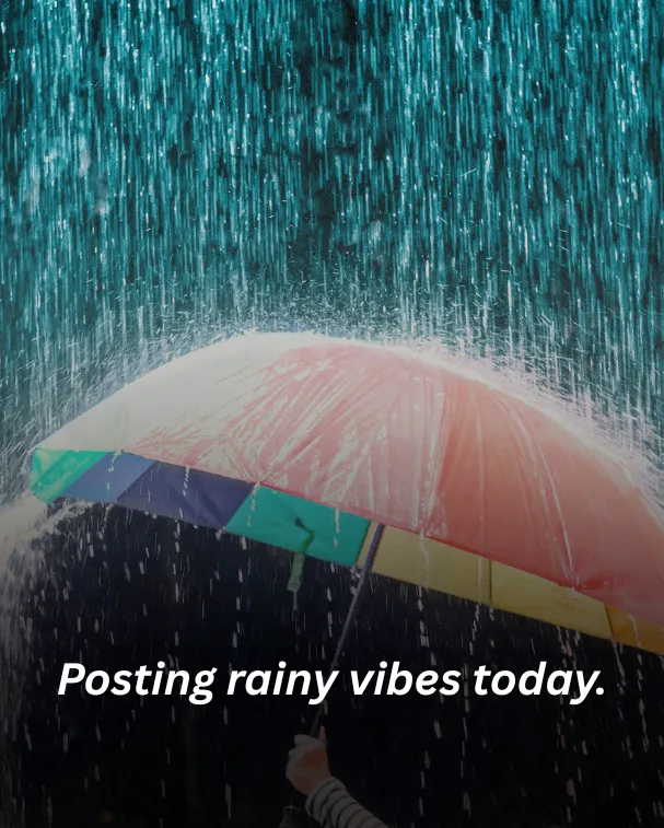 Posting rainy vibes today.