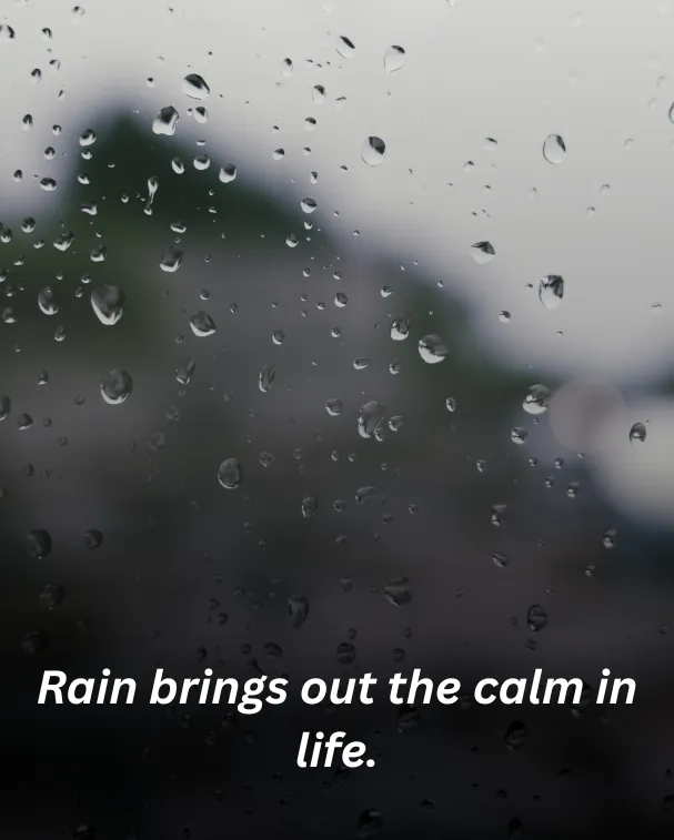 Rain brings out the calm in life.