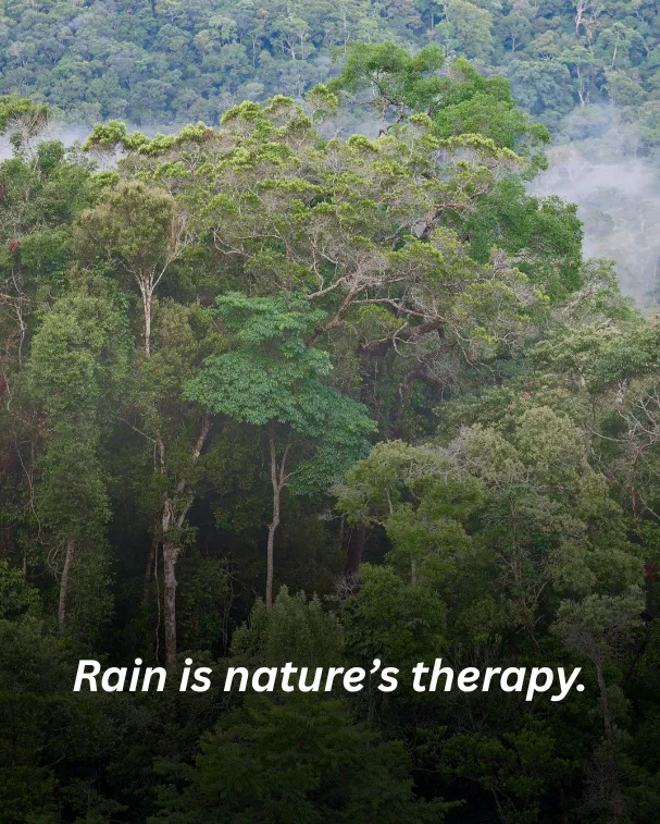Rain is nature’s therapy.