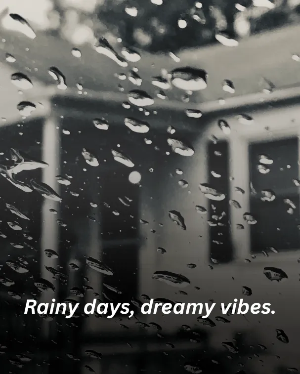 Rainy days, dreamy vibes.