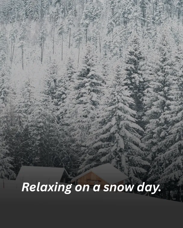 Relaxing on a snow day.