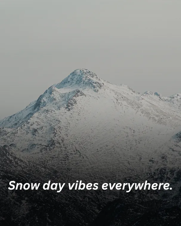 Snow day vibes everywhere.