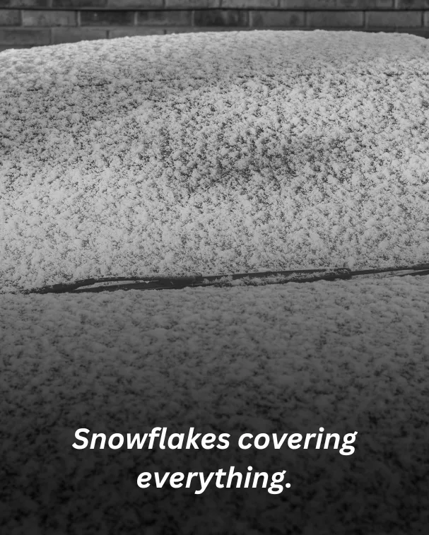 Snowflakes covering everything.