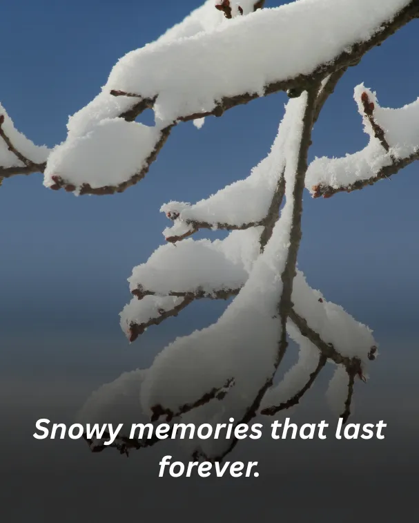 Snowy memories that last forever.
