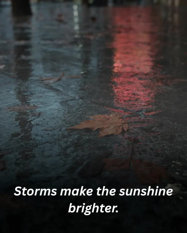 Storms make the sunshine brighter.