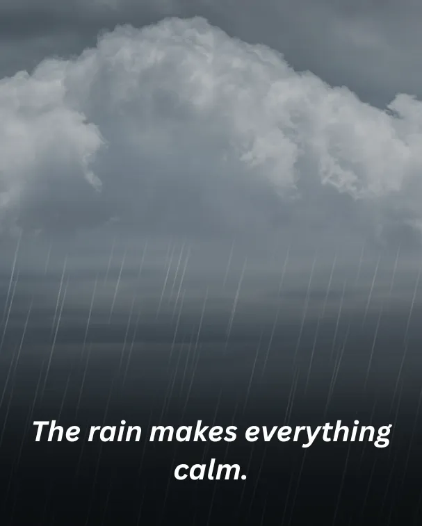 The rain makes everything calm.