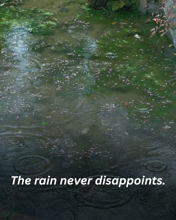 The rain never disappoints.