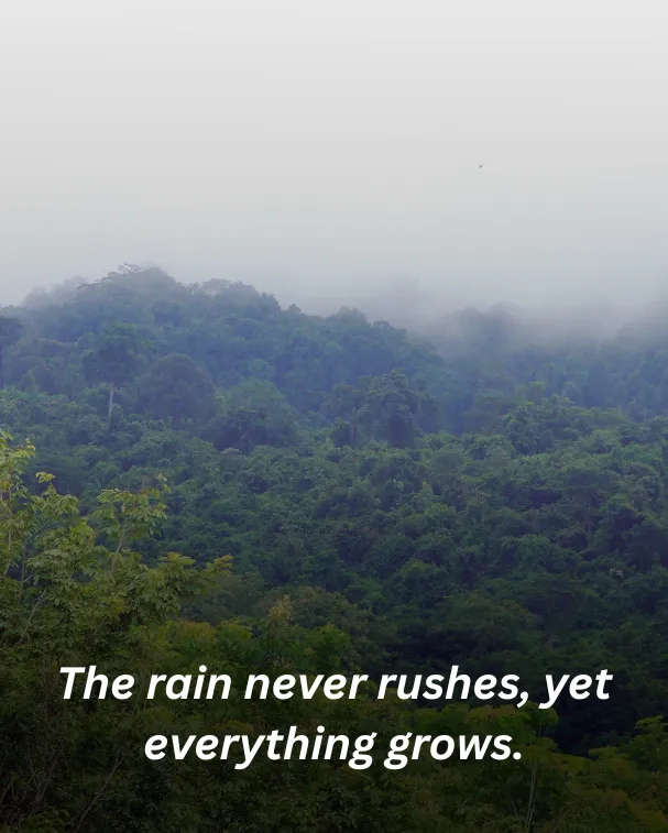 The rain never rushes, yet everything grows.