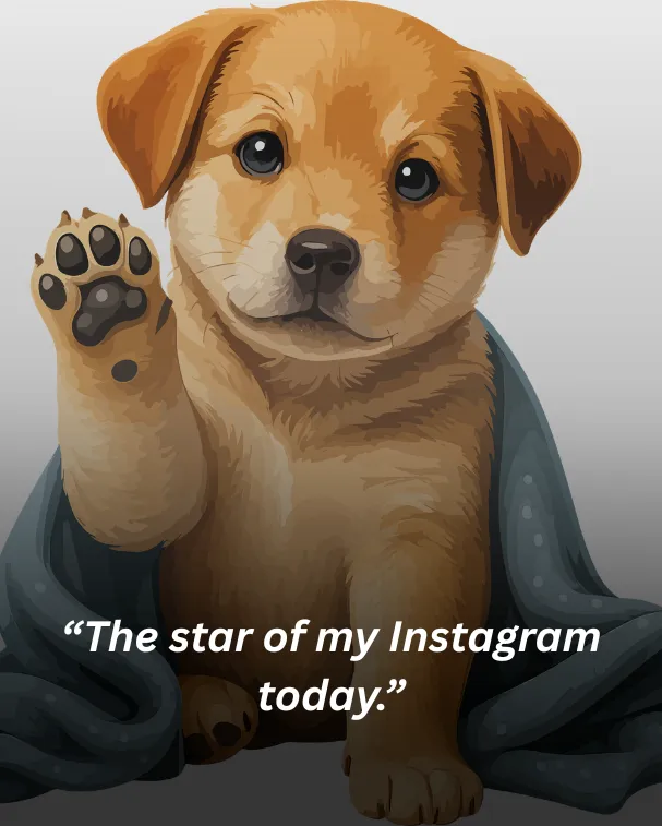 The star of my Instagram today.