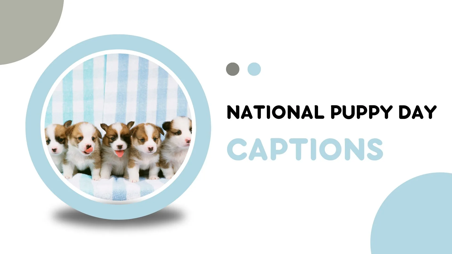 national puppy day captions
