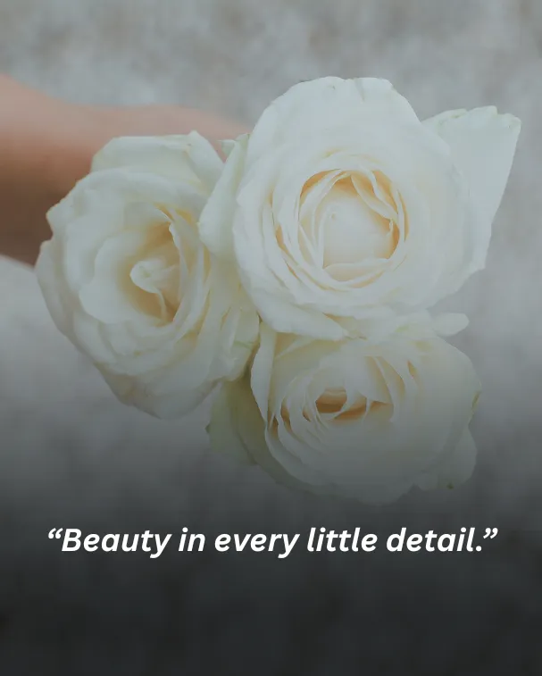 Beauty in every little detail.