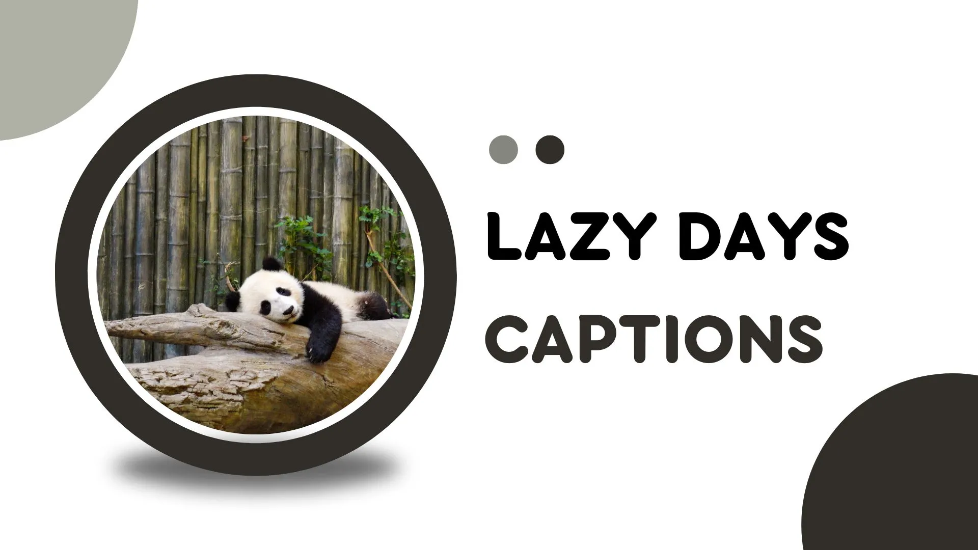 Captions for Lazy Days
