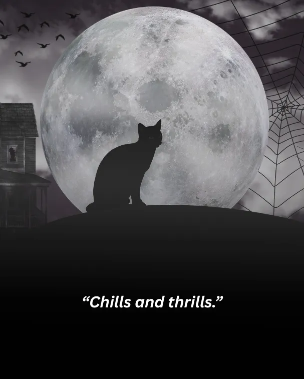 Chills and thrills.