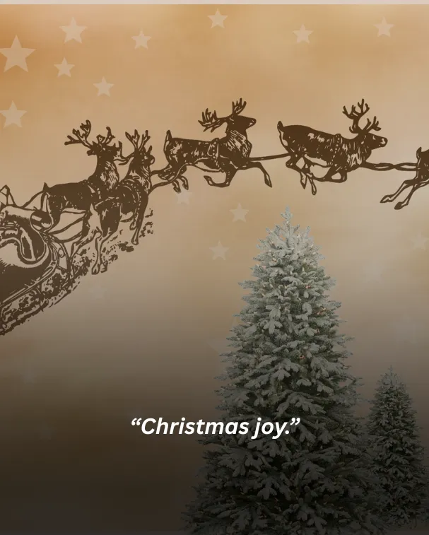 Christmas joy.