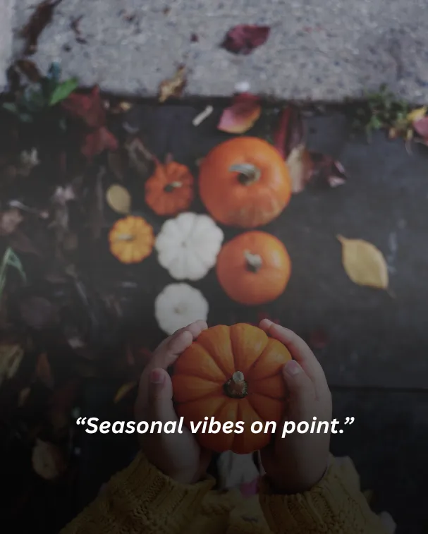 Seasonal vibes on point.