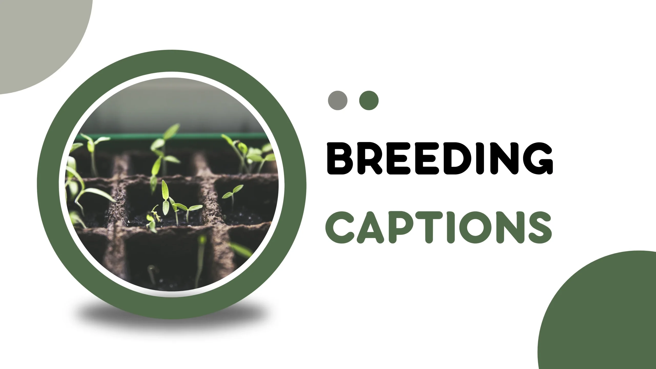 Breeding Captions for Livestock Farms, Ranches, and Animal Breeding