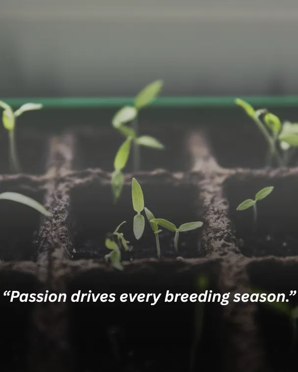 Passion drives every breeding season.