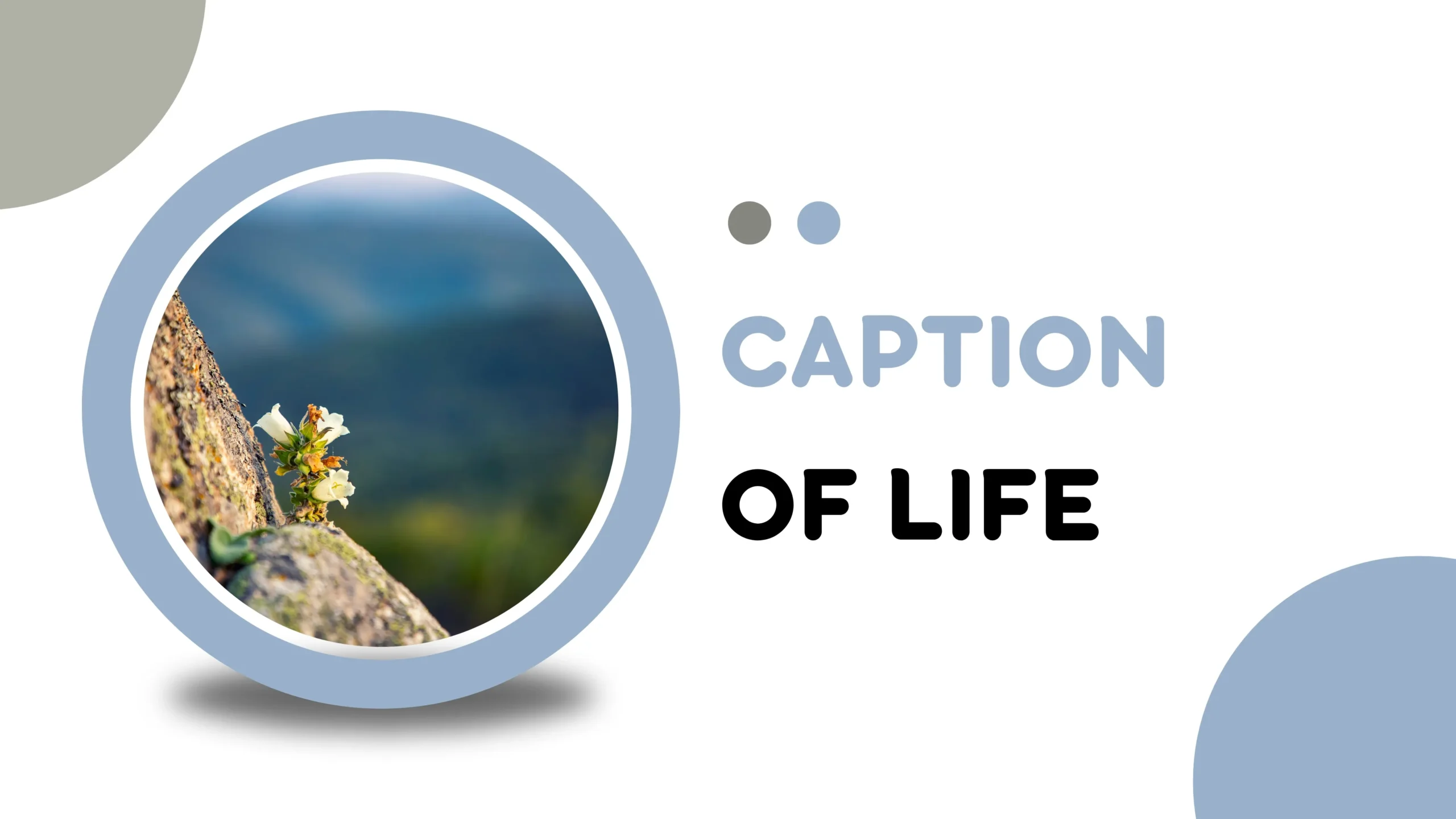 Caption of Life: Best Life Captions for Every Moment